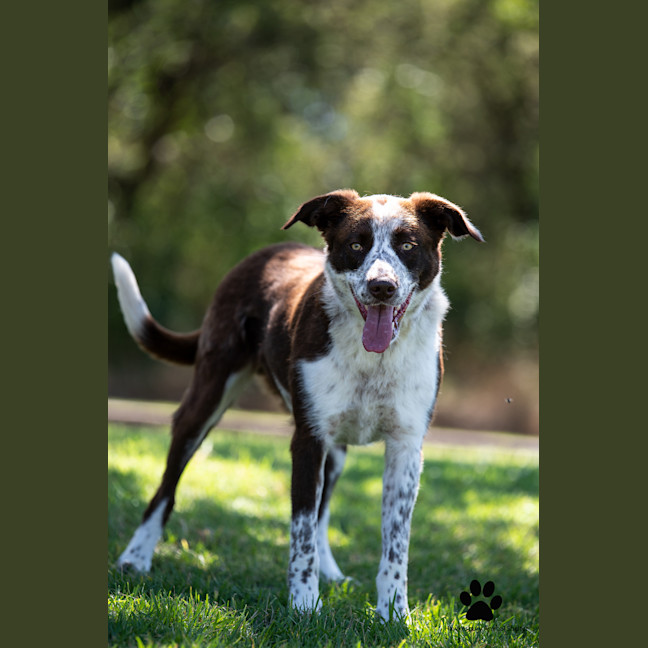Photo of Mack