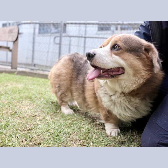 Photo of Duke
