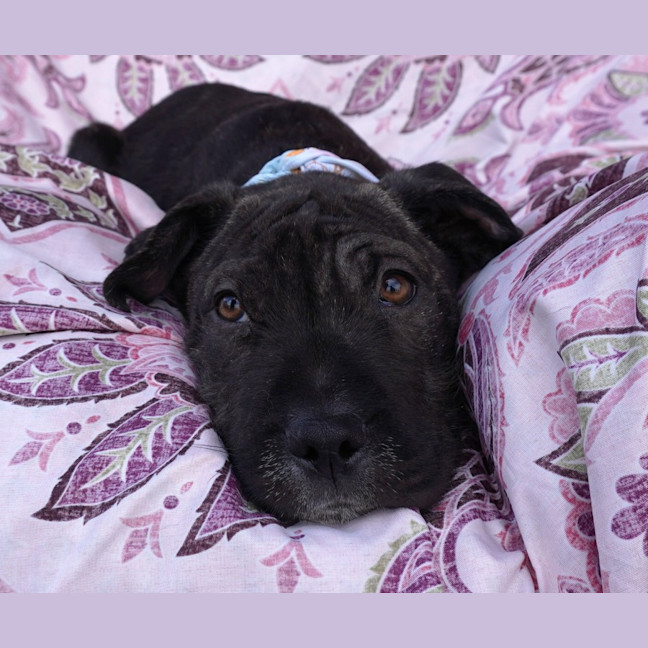 Photo of Nellie