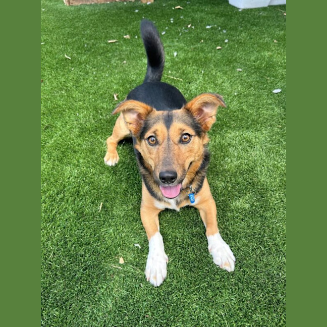 Photo of Wally