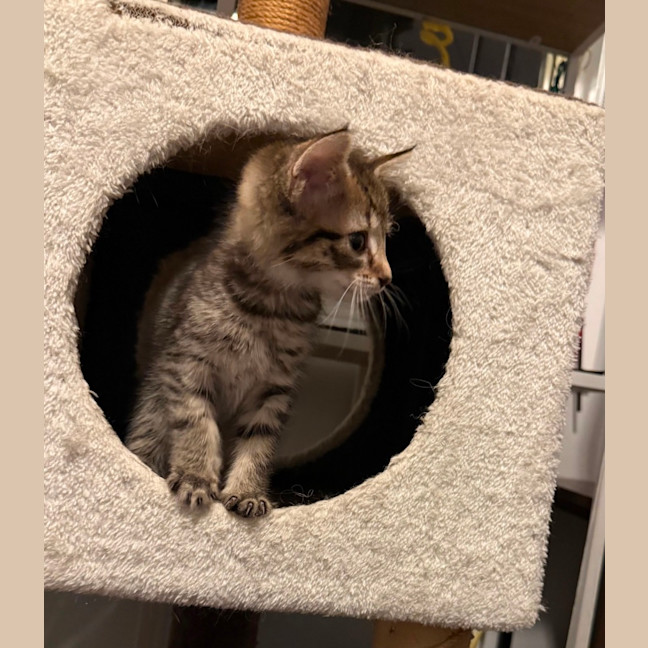 Photo of Rosie