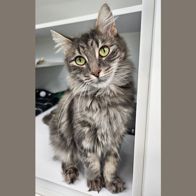 Photo of Betty