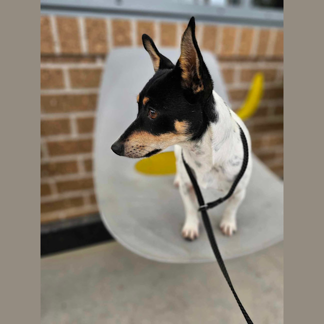 Photo of 🍣 Wasabi 5833 🍣