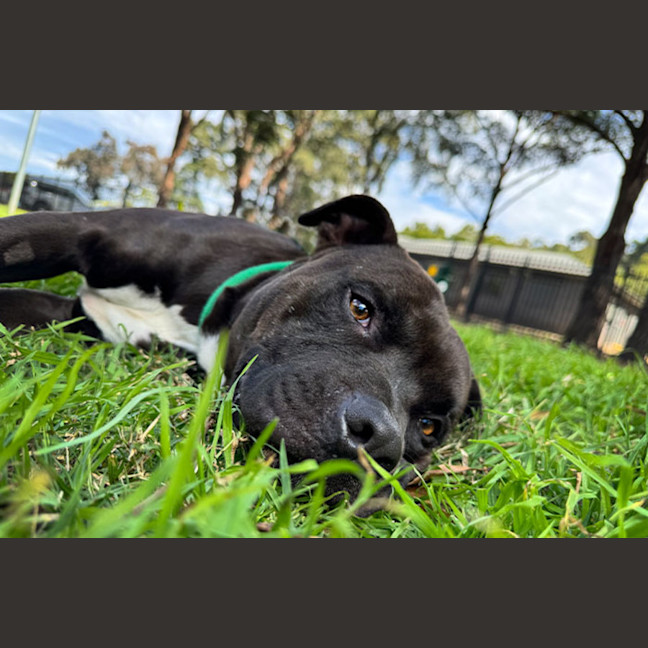 Photo of Kaos