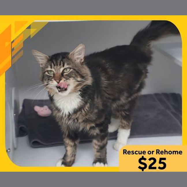 Photo of Mr. Thompson 