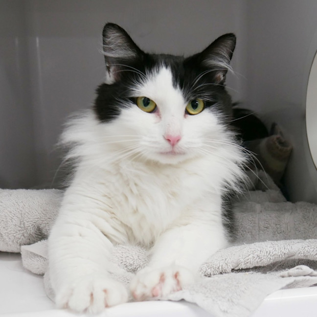 Photo of Scarlett Rsta014090