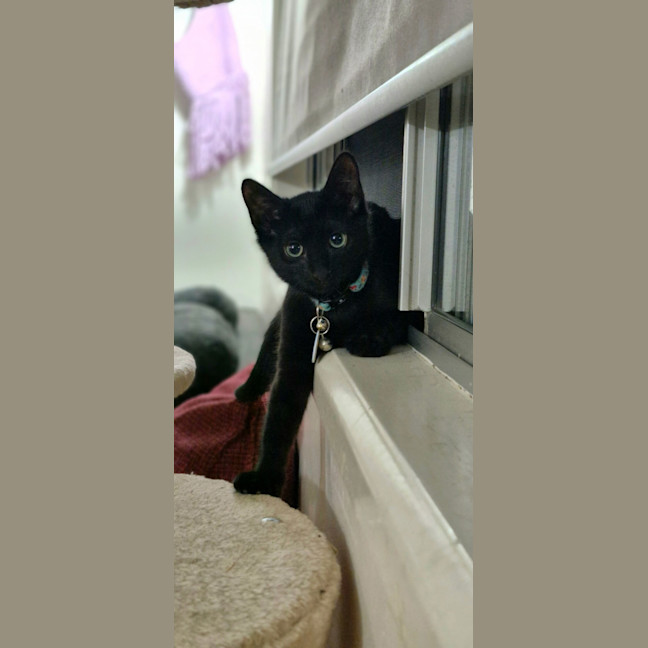 Photo of Heidi