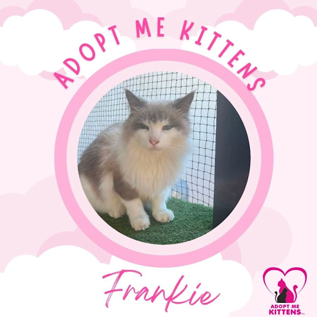 Photo of Frankie