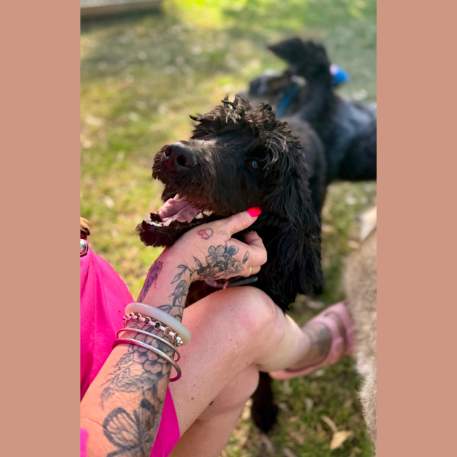 Photo of Koby 