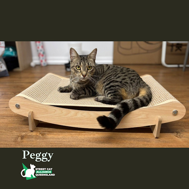 Photo of Peggy