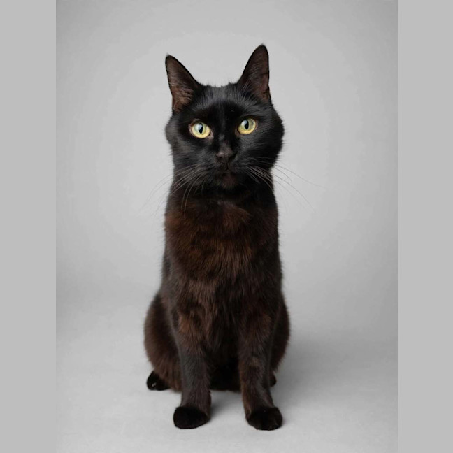 Photo of Mabel 