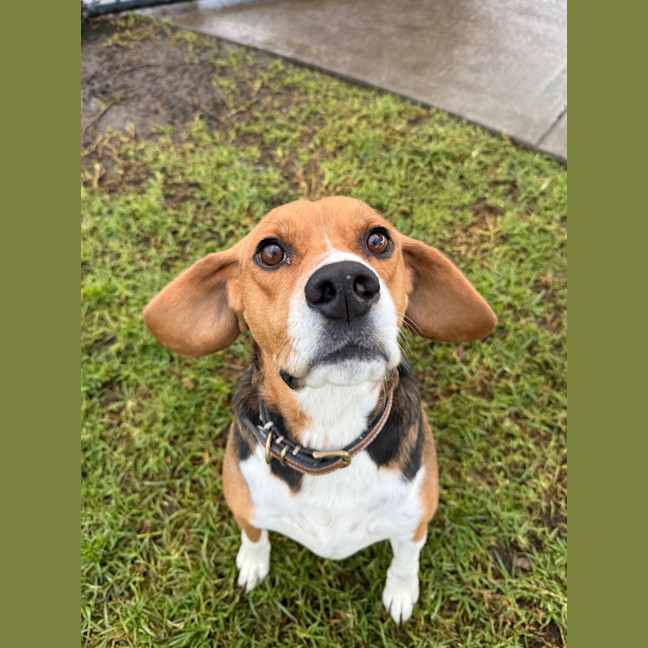 Photo of Sammi