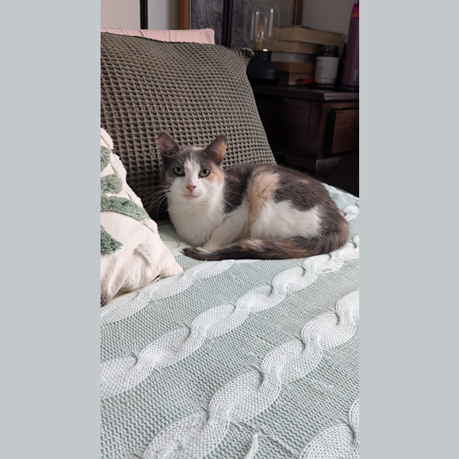 Photo of Mabel