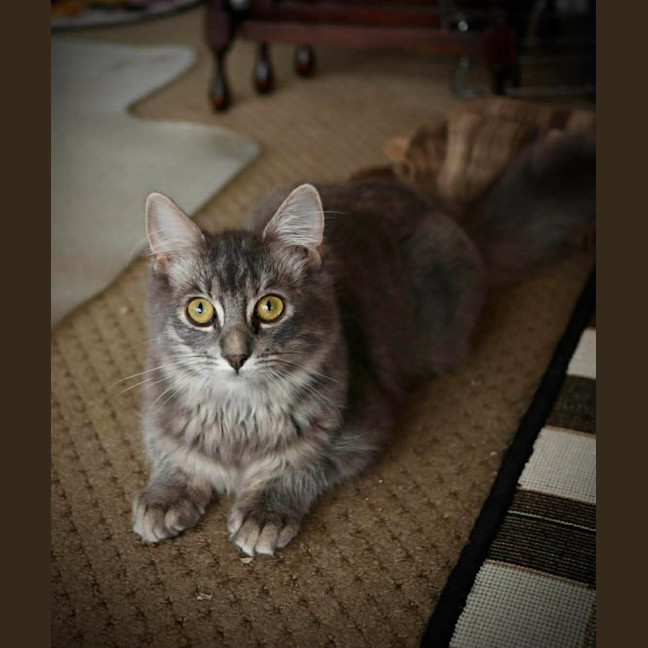 Photo of Lucy 