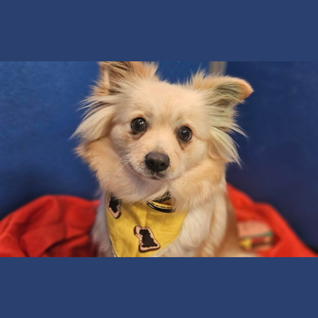 Photo of Elle Woods