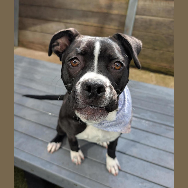 Photo of Rubie  Jane