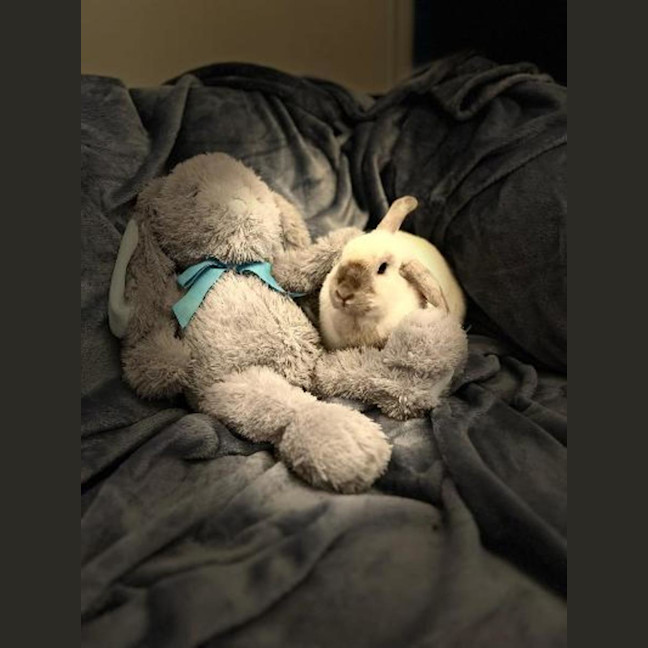 Photo of Angel