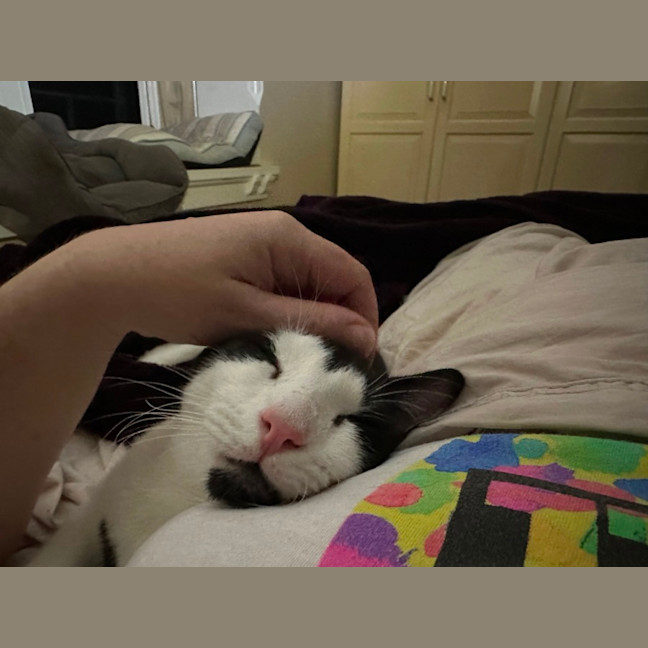 Photo of Violet And Klaus