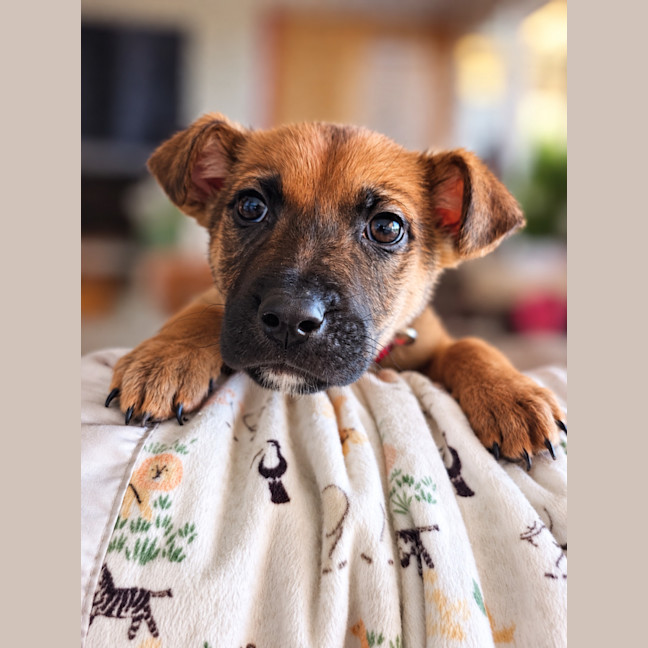 Photo of Trevor