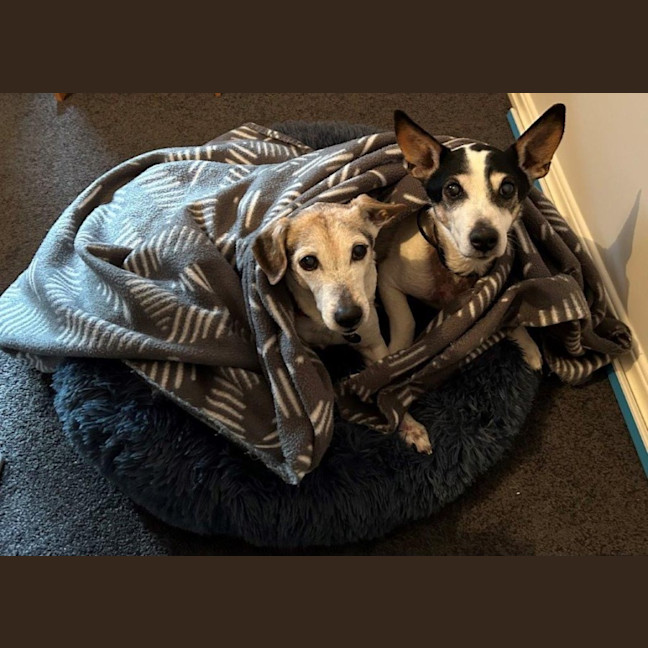 Photo of Ruby And Vincent Silvanus