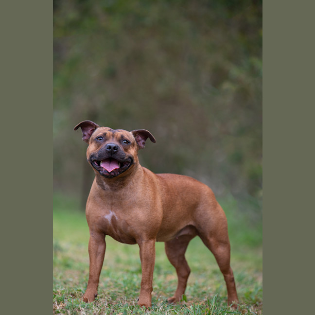 Photo of Azula