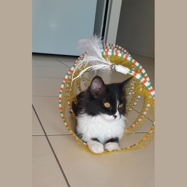 Photo of Winnie 