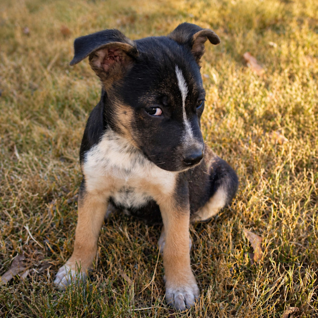 Photo of Zane