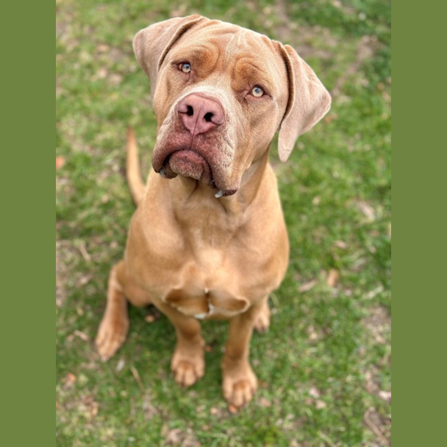Photo of Maggie