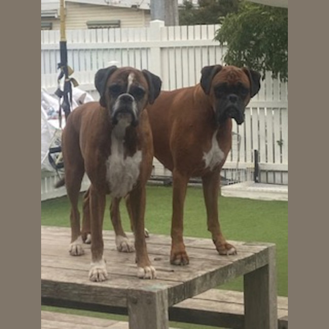 Photo of Lloyd And Harry