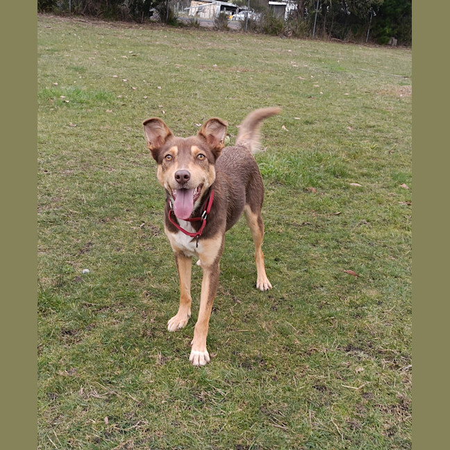 Photo of Luna