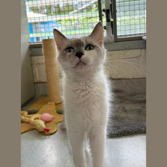 Photo of Luna