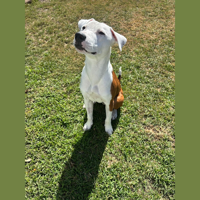 Photo of Ziggy