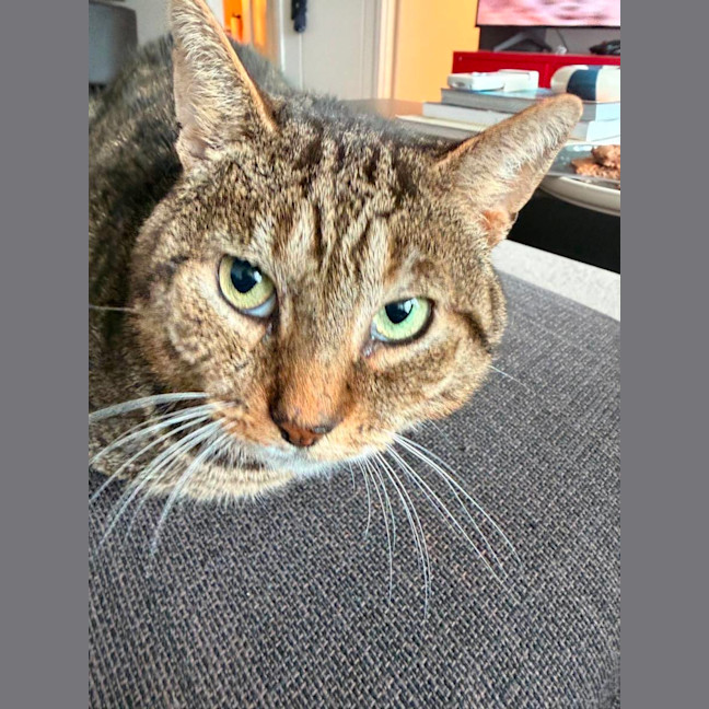 Photo of Tom
