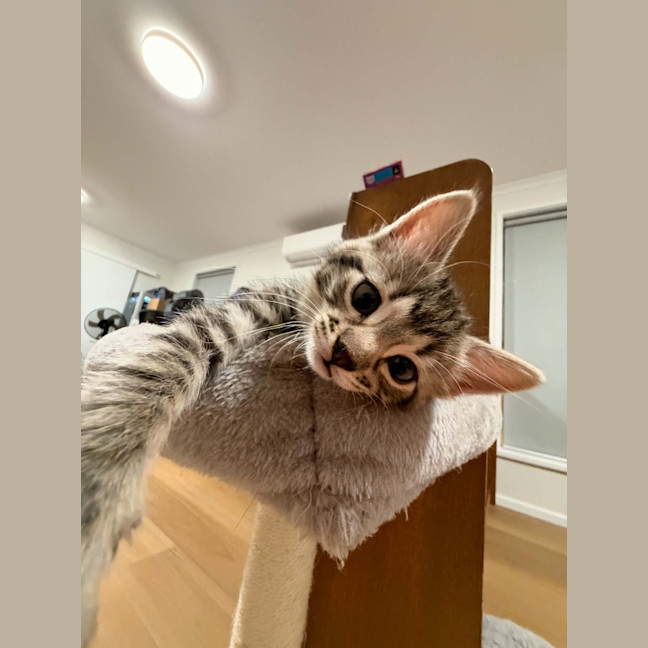 Photo of Marty