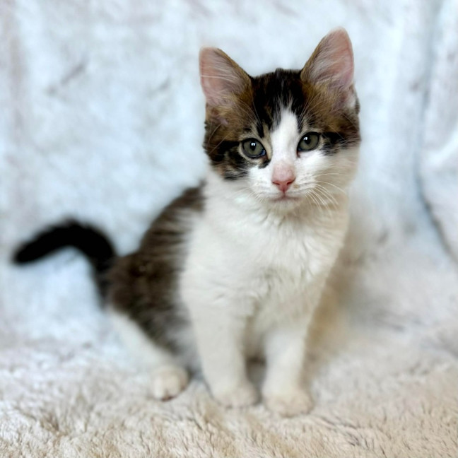 Photo of Victor   On Display At Vets On Parker