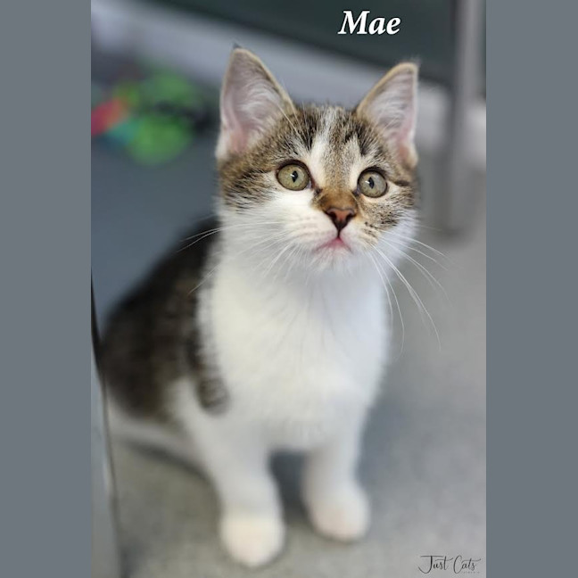 Photo of Mae