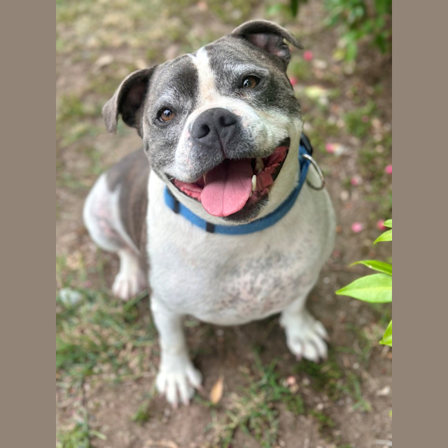 Photo of Bruce