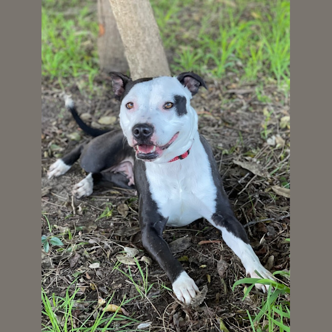 Photo of Bonnie