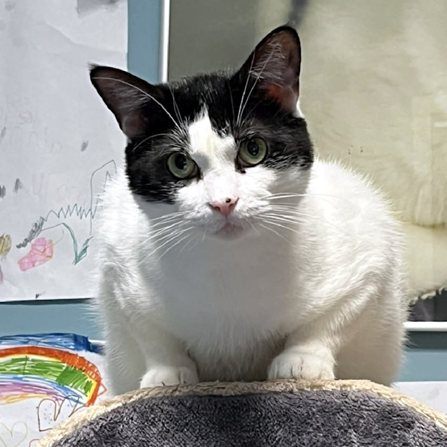 Photo of Dennis Sta013574