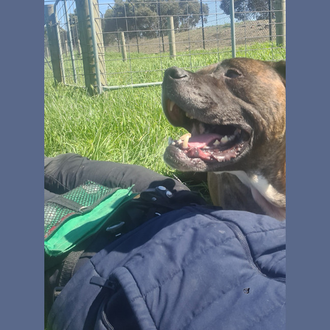 Photo of Cash