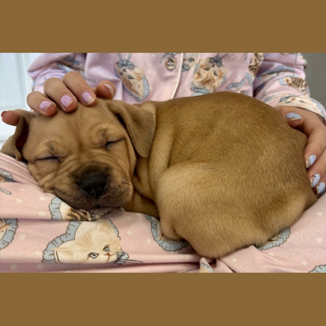 Photo of Winnie Roo