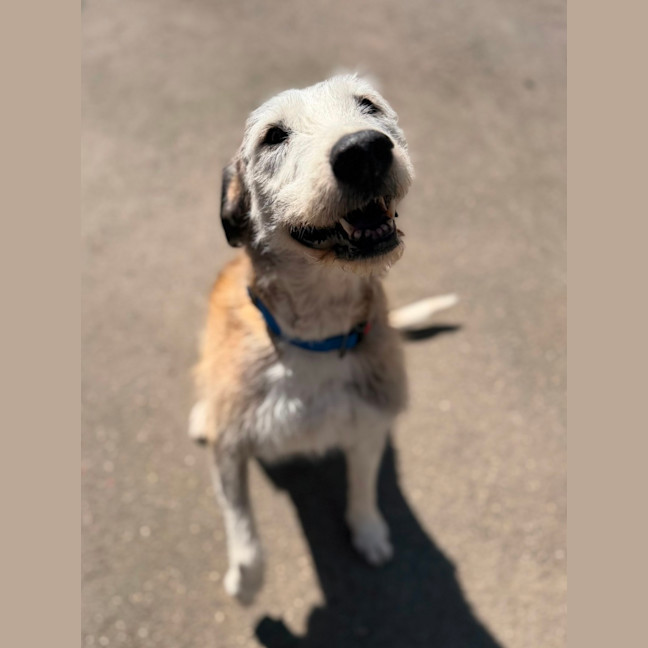 Photo of Molly