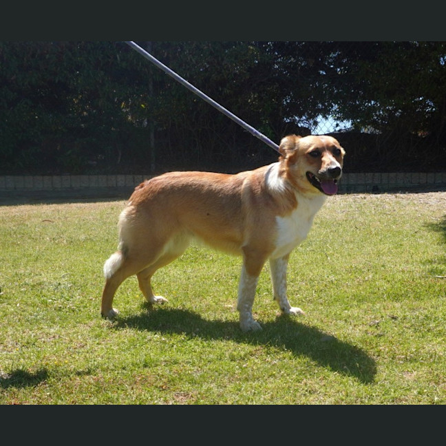 Photo of Whisper