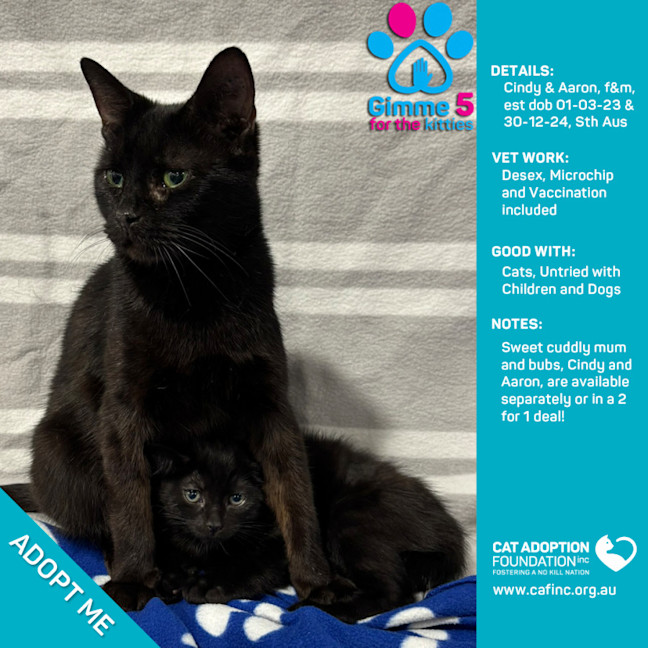 Photo of Aaron & Cindy 2 For 1 Mum & Bubs Deal!