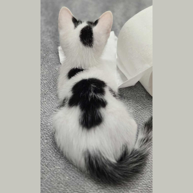 Photo of Aspen