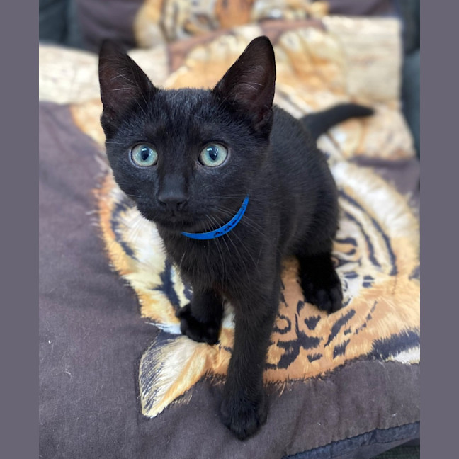 Photo of Adam (9992)