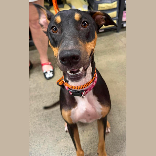 Photo of Lucy