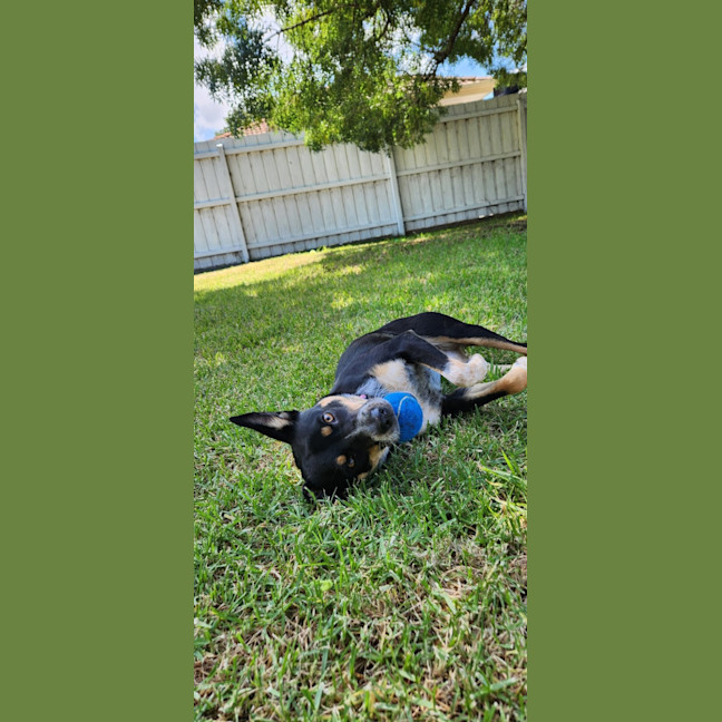 Photo of Astral