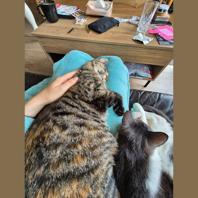 Photo of Stu / Sophie