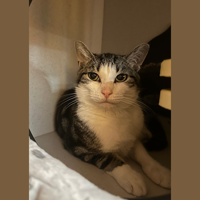 Photo of Jack